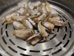 -苏大嘴海鲜牧场(奥林匹克店)