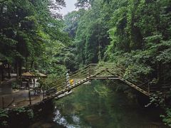 -青城山