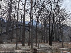 -阳台山自然风景区