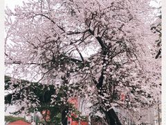 -比亚迪汽车王朝网(易能环耀银海大厦城市展厅)