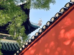 -白帝城·瞿塘峡景区