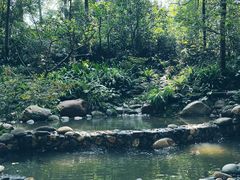 -成都市活水公园