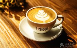 -iplus爱家高端孕妇摄影