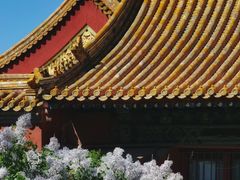 -故宫博物院(故宫)