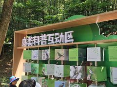 -上海佘山国家森林公园天马山园