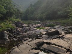 -武汉姚家山旅游景区