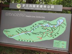 -茅兰沟国家森林公园