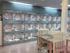 -萌宠之家·腊肠犬·马尔泰·小体犬舍