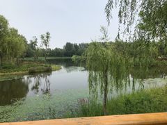 -东郊湿地公园