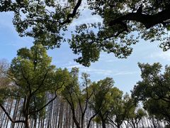 -东湖生态旅游风景区