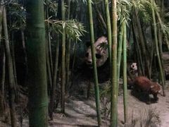 -吉林省自然博物馆