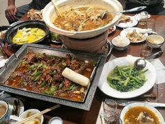 -邵年鸽(杨庄店)