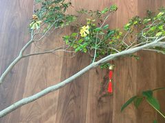 -Beans Solo豆号咖啡(百家湖花园店)