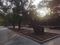 -北京市劳动人民文化宫(太庙)