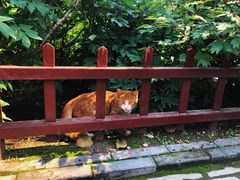 -晋祠公园