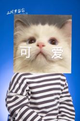 -生生摄影