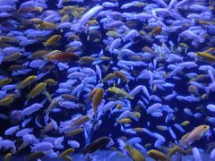 -成都浩海立方海洋公园