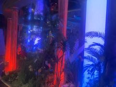 -温莎KTV(珠江路店)