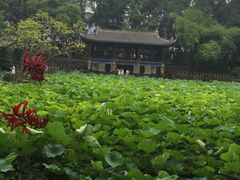 -房湖公园