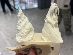 -野人先生现做冰淇淋(贵阳万象汇店)
