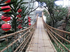 -御龙温泉度假村