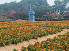-广州市流溪河国家森林公园