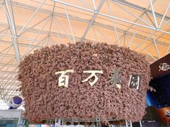 -百万葵园