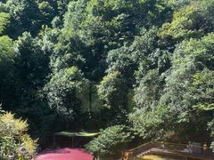 -将军关探险漂流