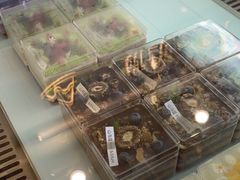 -山与蓝·轻糖鲜果蛋糕(勒泰店)