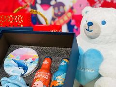 -海合安成都极地海洋公园