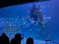 -左海海底世界