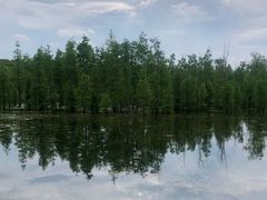 -白鹭湾湿地公园