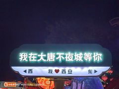-大唐不夜城