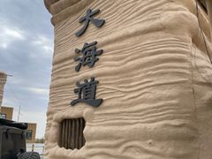 -哈密雅丹大海道景区