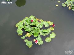 -金龟岛渔村