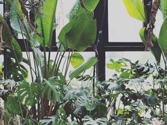 -北马山庄植趣咖啡