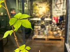 -出走咖啡·面包(宋庄店)