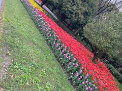 -上海鲜花港