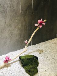 -梓摄影古装写真工作室(富力广场店)
