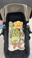 -马博士婴儿游泳馆(望京旗舰店)