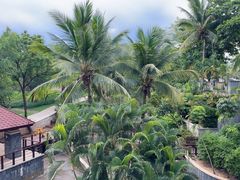 -逸廊大堂吧(三亚海棠湾万丽度假酒店)