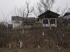 -大塘金香草谷