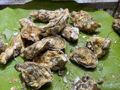 -集杰尚品海鲜烤肉自助餐厅(乳山振华店)