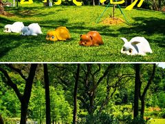 -云溪植物园