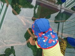 -呀诺达热带雨林