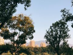 -牛岗山公园