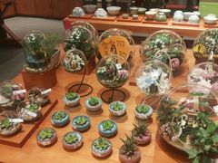 -矢量咖啡(万象汇店)