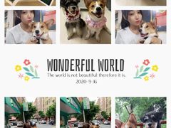 -潮发潮汕牛肉店(龙洞店)