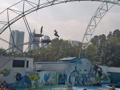 -深圳野生动物园