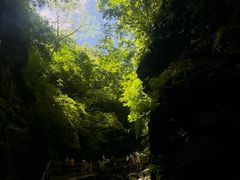 -牛背梁国家森林公园